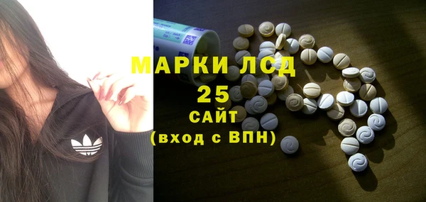 винт Алзамай