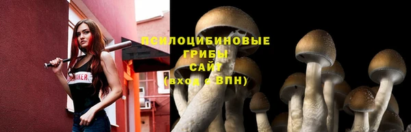 соль курить ск Алексеевка