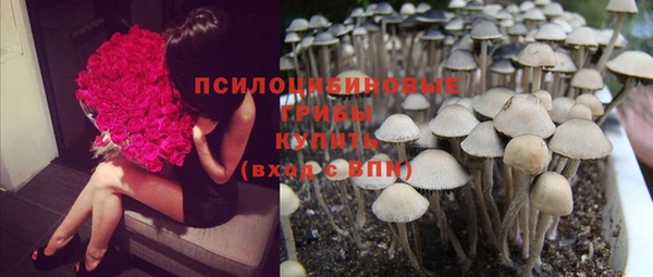 мдпв Покачи